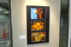DSC00007-3