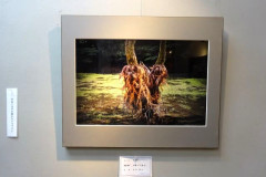 DSC00008-4