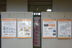 s-3DSC05758