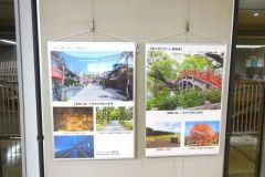 4DSC00903