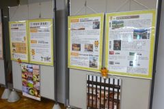 2s-DSC02310