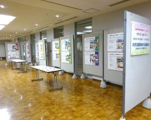 DSC04351-6404801-1