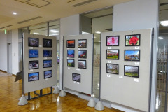 2s-DSC06647