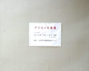 99818d645a7a5808108a94594f2a649c-scaled