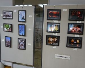 e419074e47e31f89f025eadeb49039b4