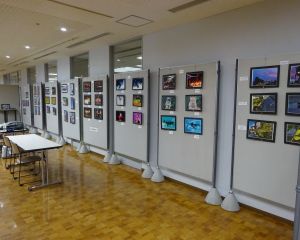 f5636b4adfe0a826f25e46adb1ea5cc5