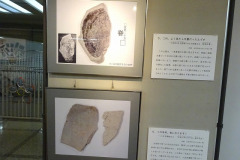 s-DSC09651-4