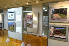 s-DSC09653-3