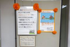 1s-DSC02107