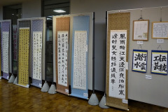 s-3DSC03993